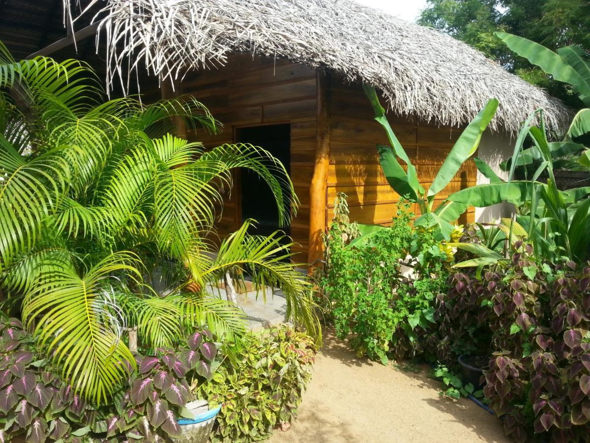 Garden Cottage Arugambay 阿鲁甘湾 客房 照片